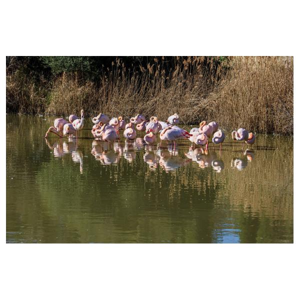 PHOTO84, CLUB, 84 , LUBERON